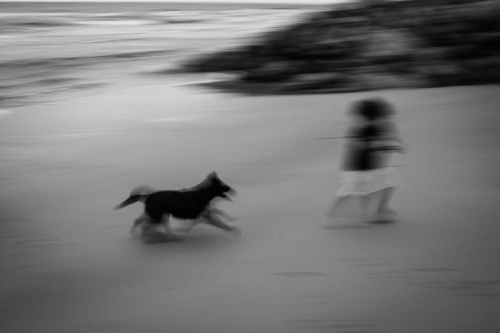 Foto UMA TARDE NA PRAIA Foto UMA TARDE NA PRAIA - Imagem 15