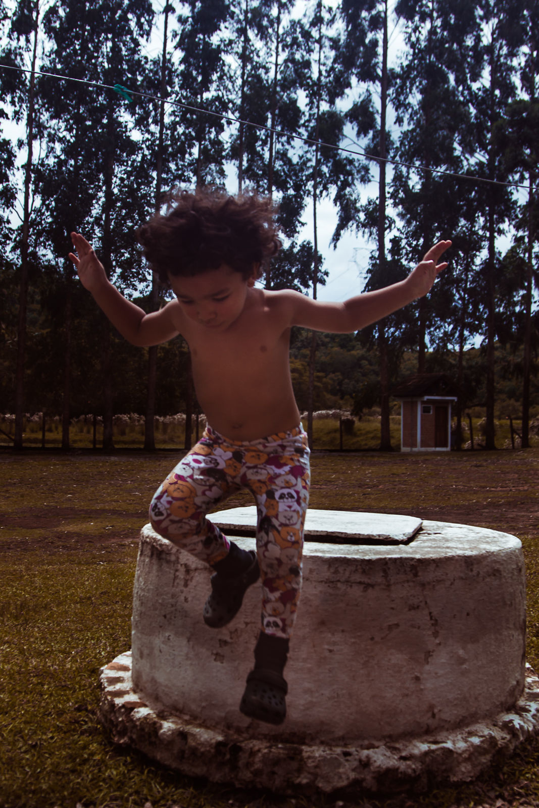 Foto Reflexos do nosso ninho - 2021 Foto Reflexos do nosso ninho - 2021 - Imagem 9