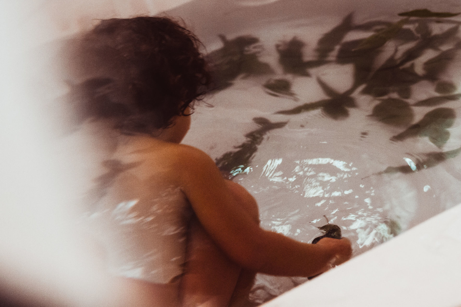 Foto Eucalipto - Sessão de aromaterapia e os seus benefícios Foto Eucalipto - Sessão de aromaterapia e os seus benefícios - Imagem 1