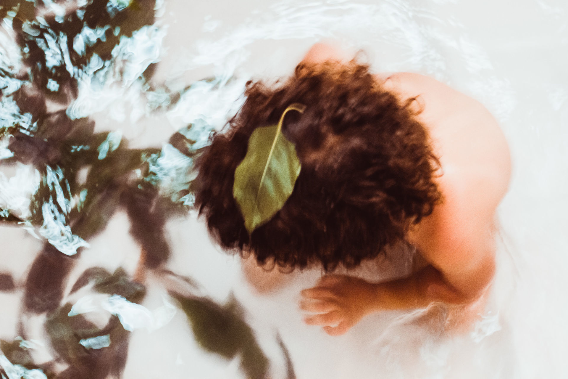 Foto Eucalipto - Sessão de aromaterapia e os seus benefícios Foto Eucalipto - Sessão de aromaterapia e os seus benefícios - Imagem 5