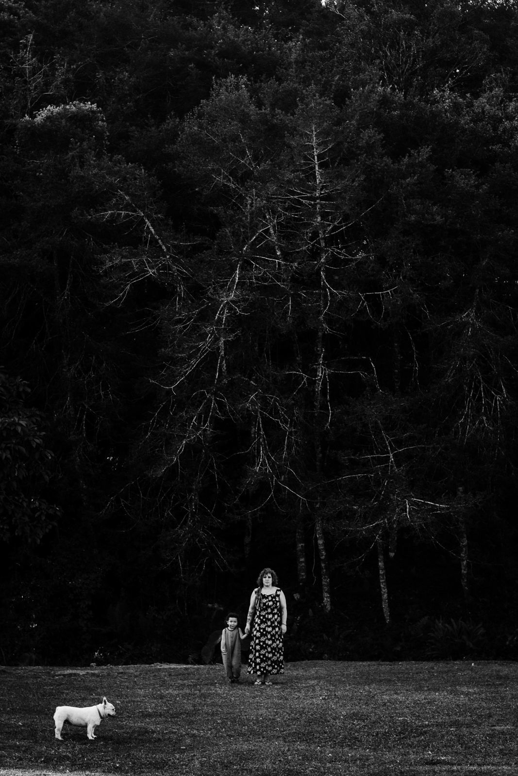 Foto Eu e as minhas crias Foto Eu e as minhas crias - Imagem 2