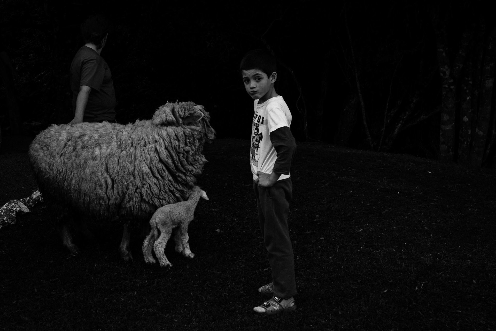 Foto O que é a fotografia documental de família? Foto O que é a fotografia documental de família? - Imagem 12