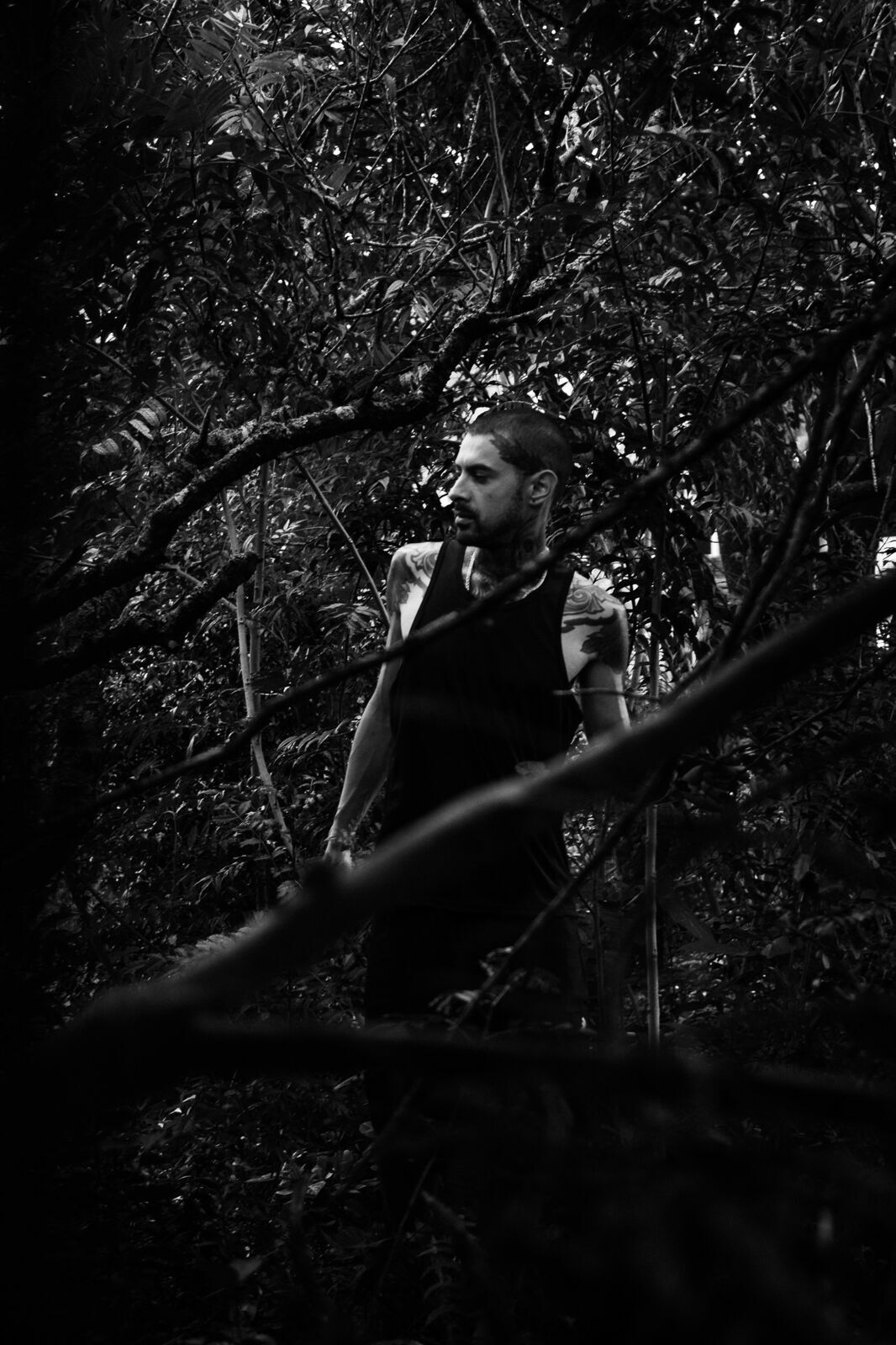 Foto Retrato Cassi e Alex Foto Retrato Cassi e Alex - Imagem 83